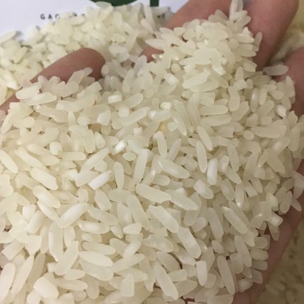 Gạo Séng Cù “Đặc Sản Lào Cai – Tây Bắc”