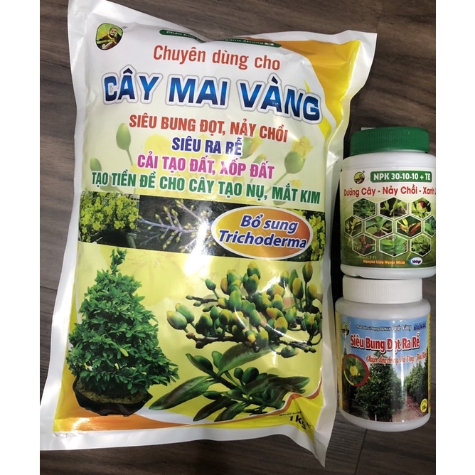 [ Combo ] Bộ 3 Chăm Sóc Cây Mai Vàng Sau Tết - Chăm Mai Vàng Quanh Năm