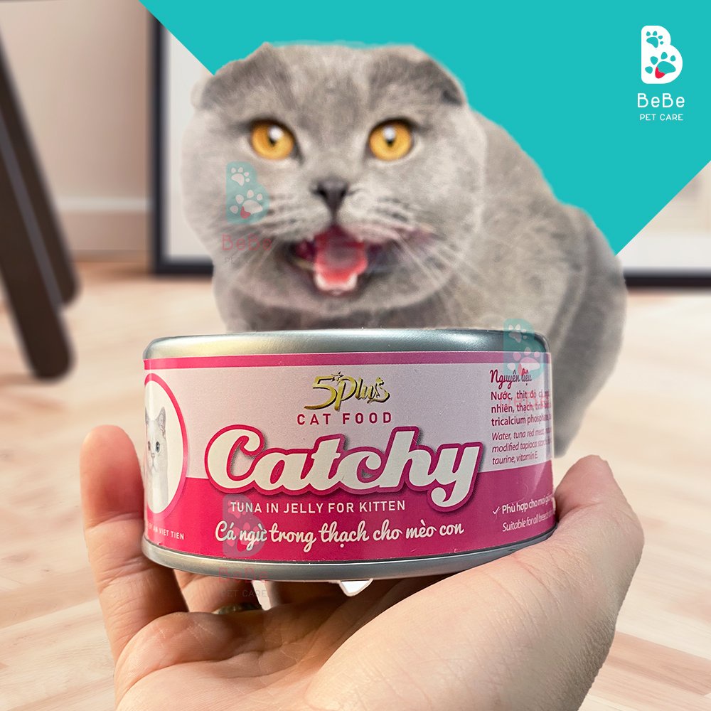 Pate CATCHY Đầy Hấp Dẫn Nhiều Mùi Vị Cho Các Boss Mèo - Lon 170gr, 400gr & Túi 70gr