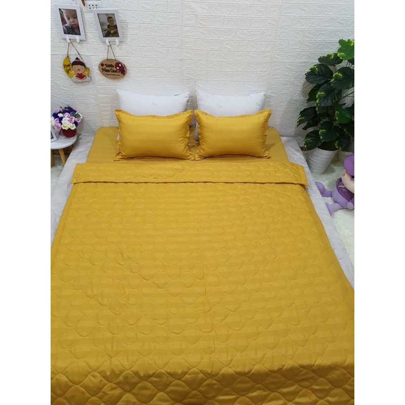 Sét chăn ga gối 5 món cotton poly kẻ 3F đơn giản, sang trọng.
