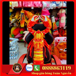 GẤU BÔNG IN HÌNH CON TÔM 3D SIZE 70-1M