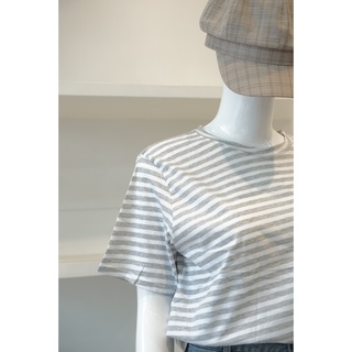 Áo Thun Sọc Cotton 144 Xám