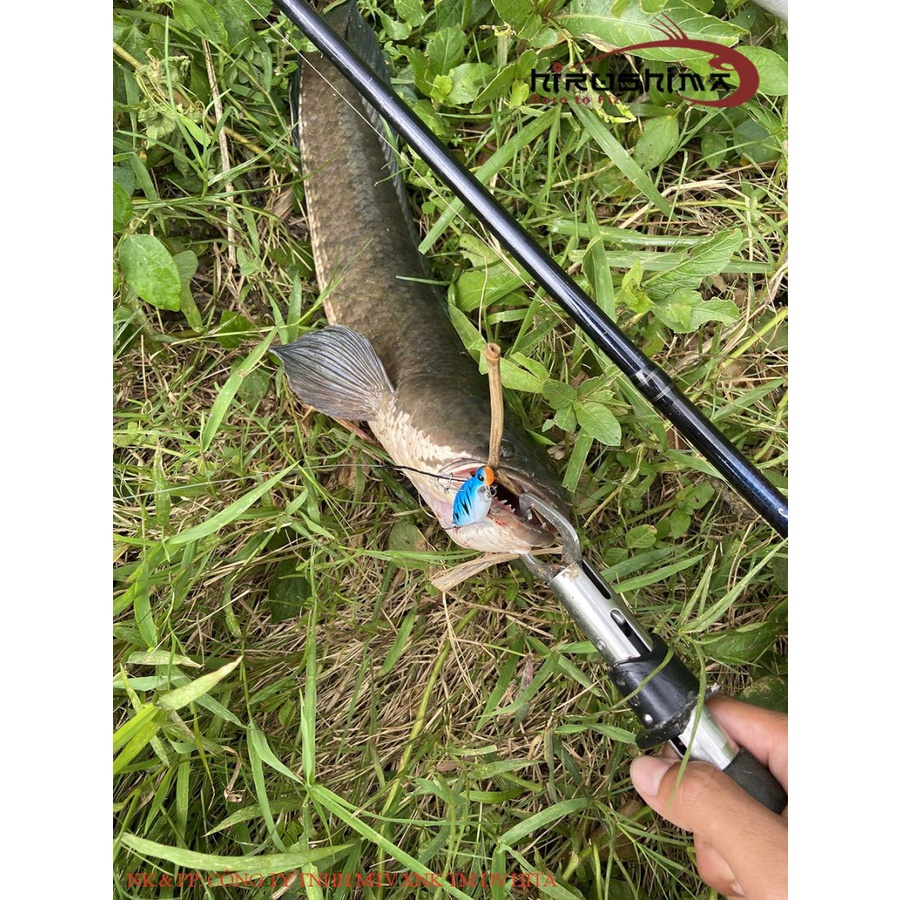 Mồi câu cá lóc Hirushima Vibration Cicada Hita Lure