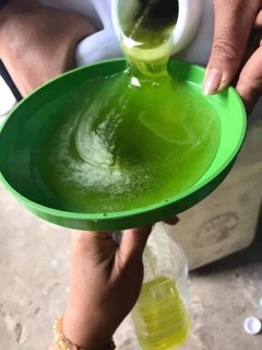 Mật ong hoa bạc hà Hà Giang 1lít vàng ánh xanh