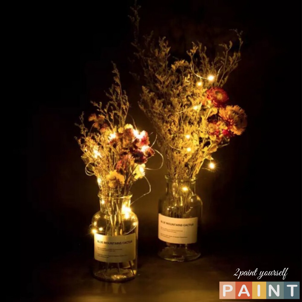 Dây đèn LED trang trí phòng ngủ, Đèn LED dây fairylight trang trí treo tường dài 1m-2m decor 2PAINT