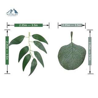 Dây Leo Cây Bạch Đàn Giả Trang Trí