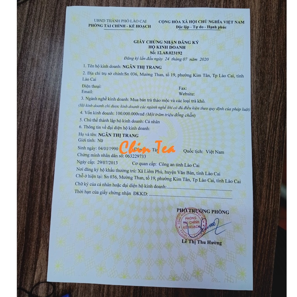 💥 TRÀ HOA CÚC ĐƯỜNG PHÈN - TRÀ HOA VIÊN TỔNG HỢP