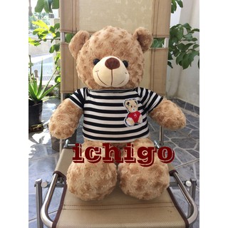 GẤU BÔNG TEDDY CAO CẤP KHỔ VẢI 80CM MÀU SỮA