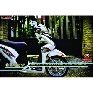 Tem Rời Xe Vision Trắng Xám