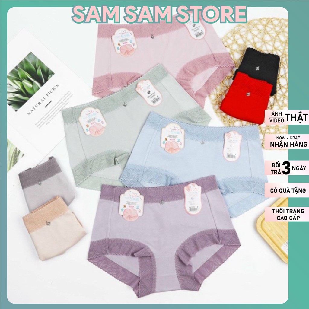Quần Lót Nữ Cotton Su Lạnh lưng cao size to 50-70kg SAM SAM