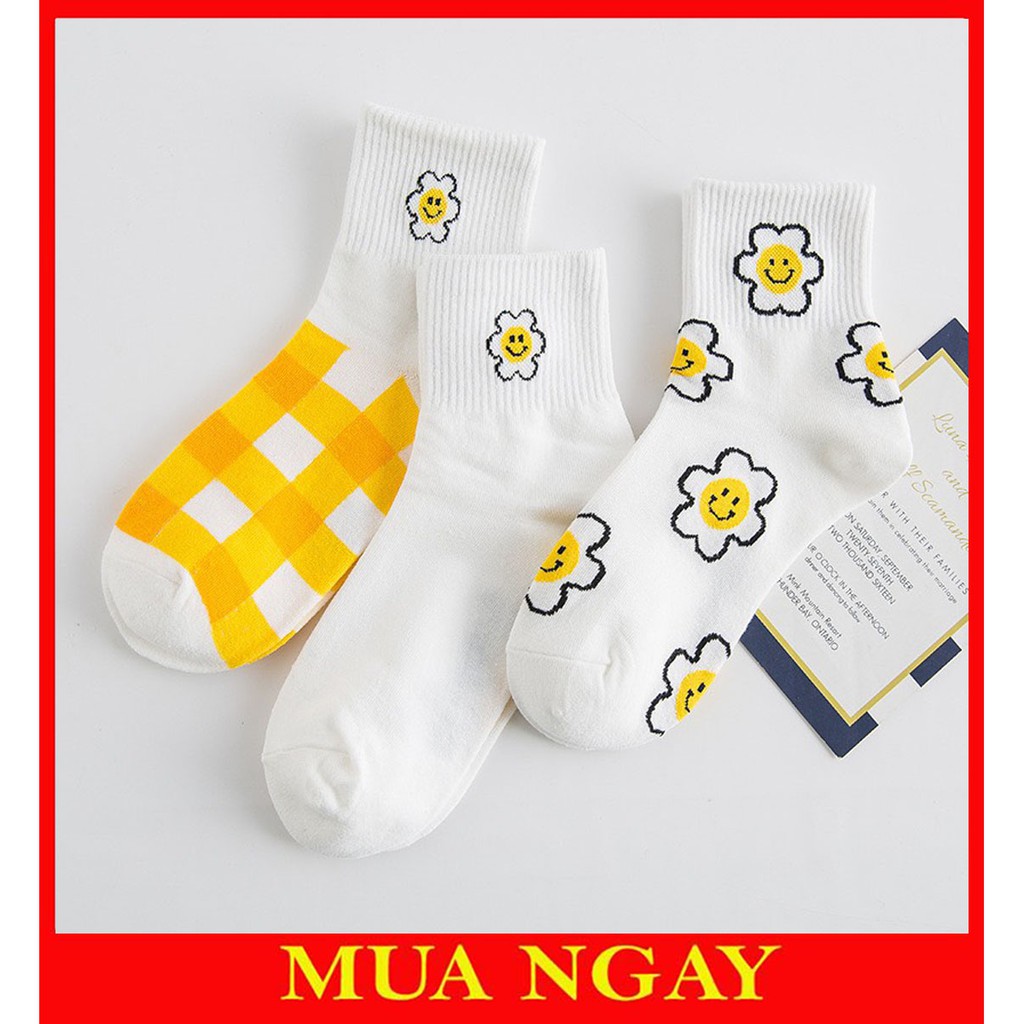 Set 3 đôi tất trắng họa tiết cánh hoa vintage Hàn Quốc TN102