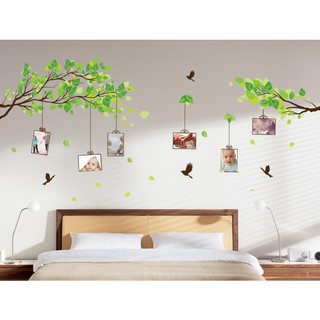 Decal Dán Tường Cành Cây Khung Ảnh