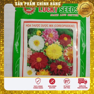 Hạt Giống Hoa Thược Dược Mix
