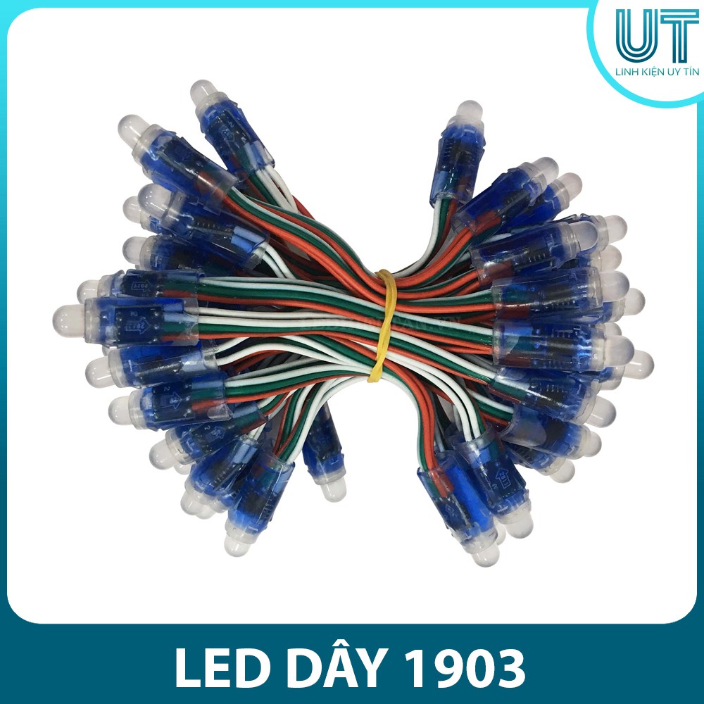 LED Dây 1903 Fullcolor Chống Nước ( Dây 50 Bóng )