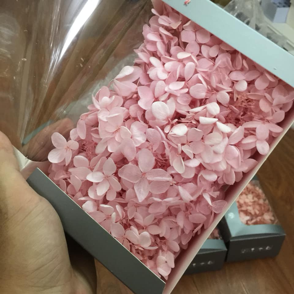 Hộp hoa khô siêu lớn