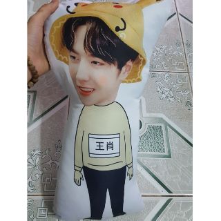 Gối ôm in theo yêu cầu (in gì cũng được)