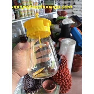 Đèn bẫy ruồi vàng kèm thuốc