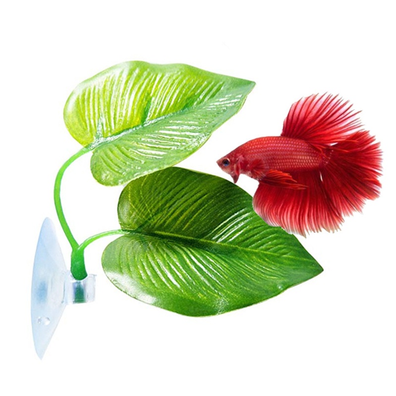 Abo betta bed double leaf pad hammock cho cá betta nhựa thân thiện với môi trường