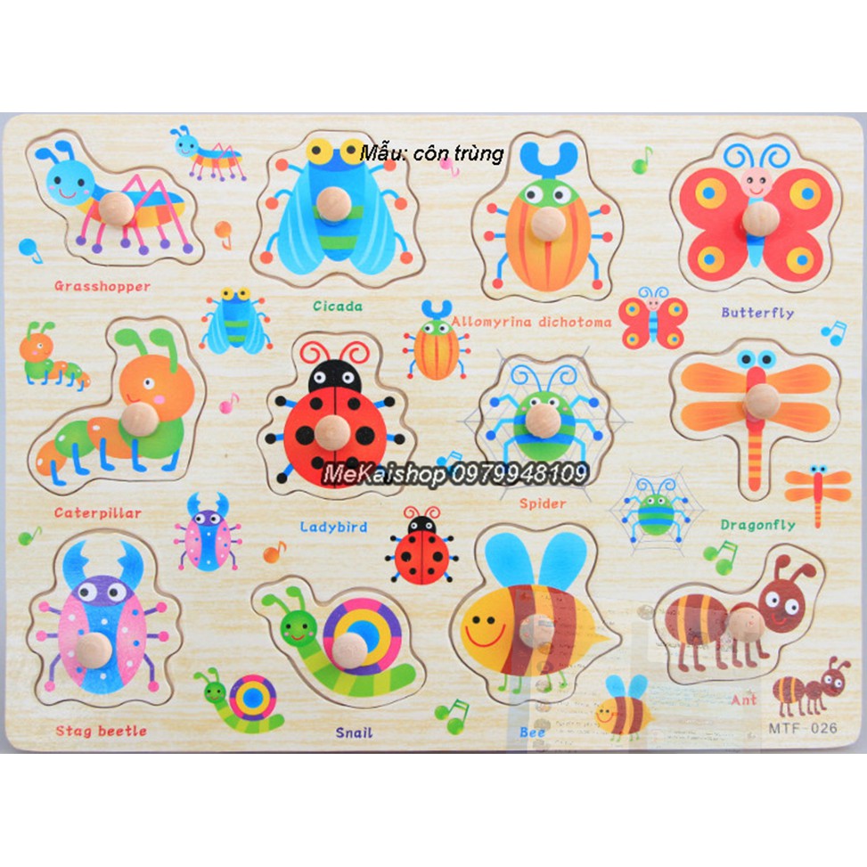 Bảng ghép gỗ có núm cầm dạy nhận biết