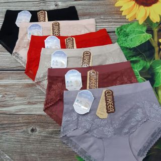 Combo 10 quần lót cotton pha ren phom to_hàng nhật cao cấp