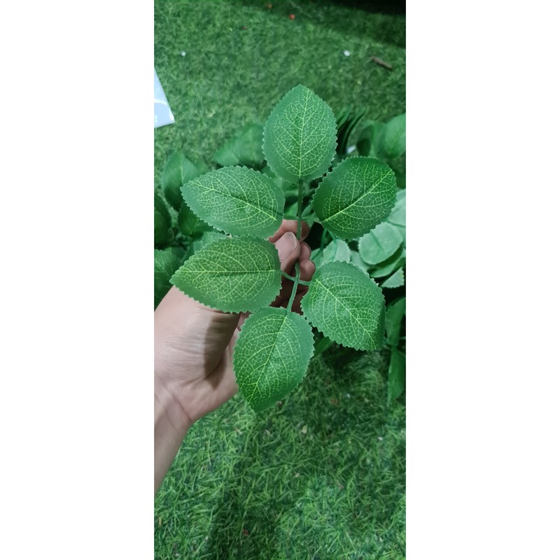 Lá hoa hồng gân 100g