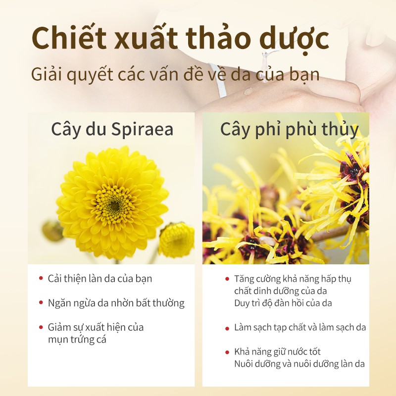 Tinh Chất BAIMISS Dòng Pore Refining 30ml | BigBuy360 - bigbuy360.vn