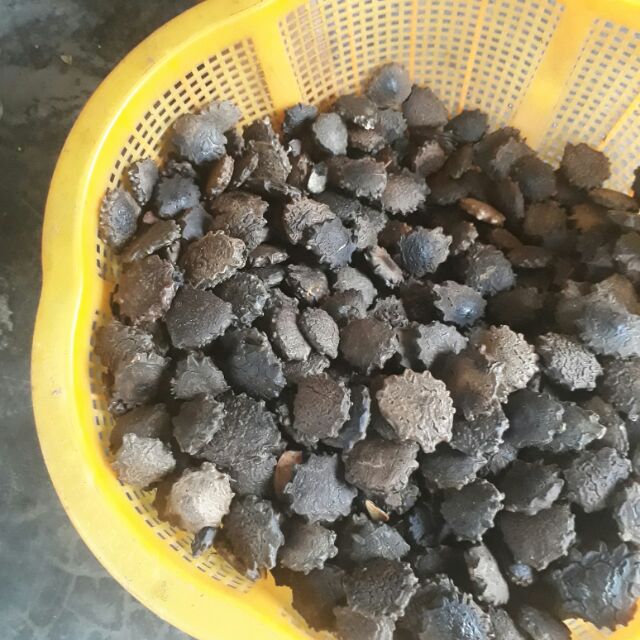 Combo 1kg nhân hạt gấc 2kg nghệ