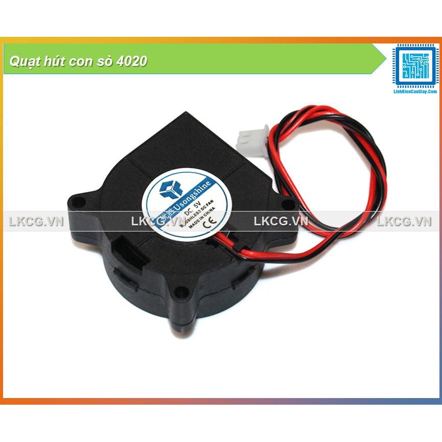 Quạt hút con sò 4020