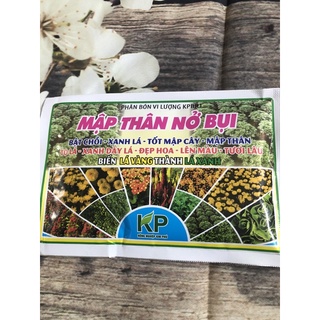 Mập thân nở bụi
