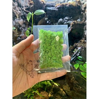 [Buffet3k] Cốm dẹp xanh dành cho hamster