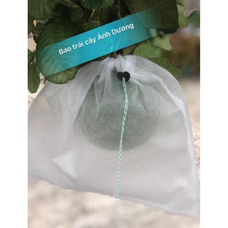 SET 10 Túi bọc ổi túi bọc bưởi trái cây 30x30,2cm bằng vải không dệt chuyên dùng bọc Xoài Cát Hòa Lộc, Xoài Đài Loan