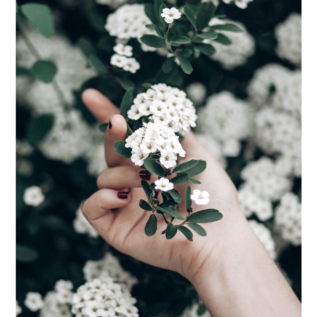 Nước Cân Bằng 2% BHA Tẩy Tế Bào Chết, Làm Sạch Sâu Da oh!oh! BHA 2% toner : b