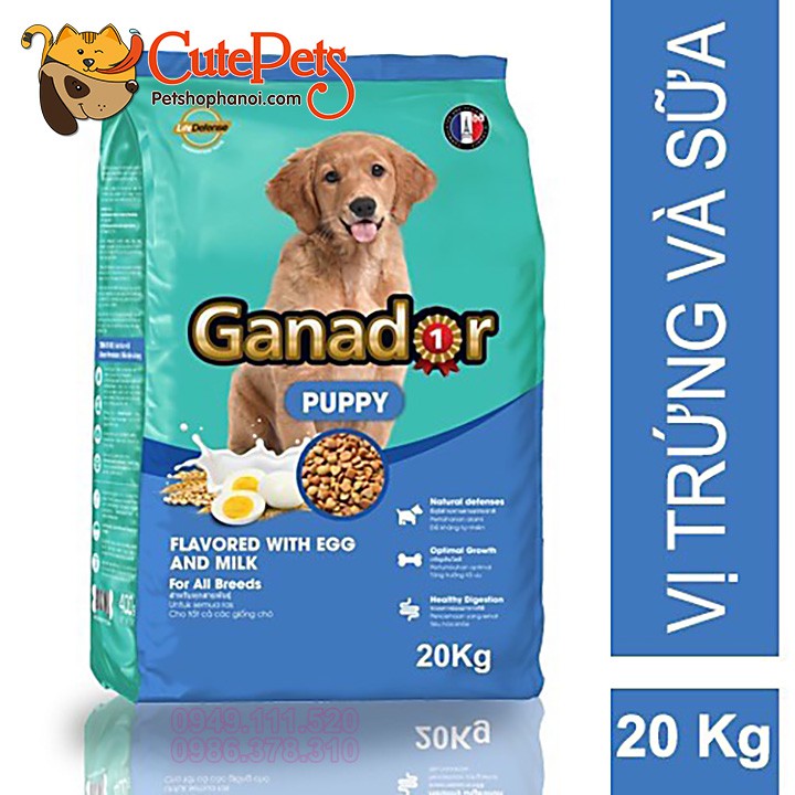 Thức ăn cho chó Ganador Tải 20kg Vị cá hồi, Cừu, Sữa trứng, DHA - CutePets
