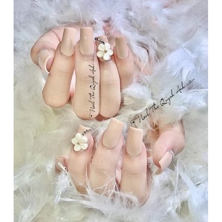 Hoa mai đơn - Hoa bột nail