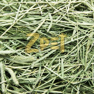 Thức ăn cho Thỏ Bọ - Cỏ khô Timothy 500gr loại thường