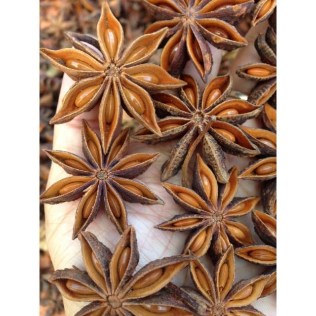 50g hoa hồi khô