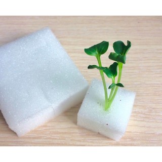 Giá thể trồng thủy canh bằng mút xốp (bọt biển)