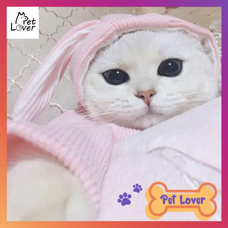[FREESHIP] Quần áo cho mèo, áo có mũ cho mèo, màu hường siêu cute, form thoải mái, mèo tha hồ chạy nhảy (mũ đội hồng)