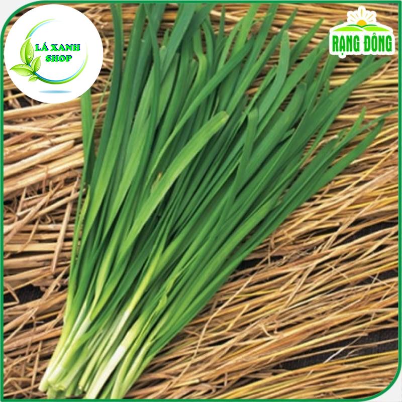 Hạt giống Hẹ Lá Trồng Quanh Năm, Sinh Trưởng Tốt (gói 1 gram) - Hạt Giống Rạng Đông
