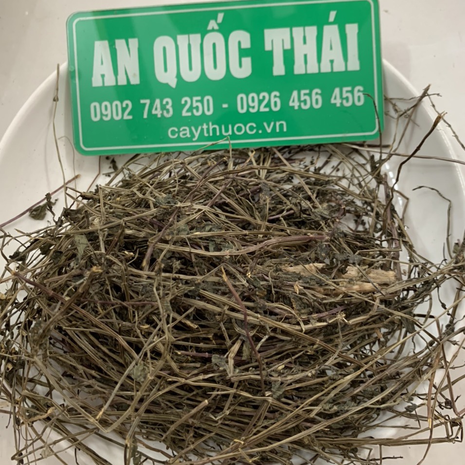 1kg Bán Chi Liên (Loại 1) Ngừa U Bướu, Hỗ Trợ Người Ung Thư