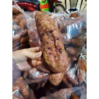 Combo 3kg Khoai Lang Mật Đà Lạt size Đại