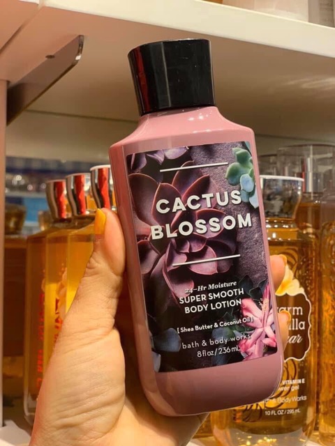 Lotion dưỡng da hoa xương rồng Cactus Blossom | BigBuy360 - bigbuy360.vn