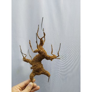 Gốc bonsai Mini làm cây mai cây đào giả