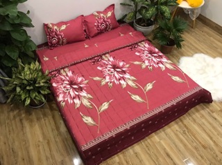 Sét 3 món ga gối cotton poly giá siêu rẻ