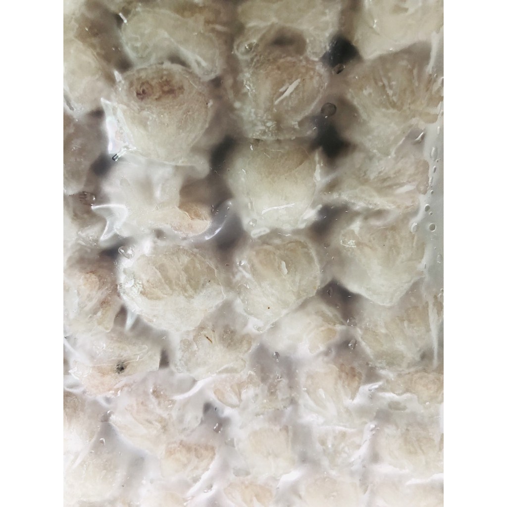 Khay 500g há cảo nhân thịt cực ngon