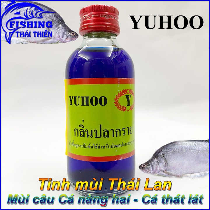 Tinh mùi Thái Lan câu cá nàng hai thát lát
