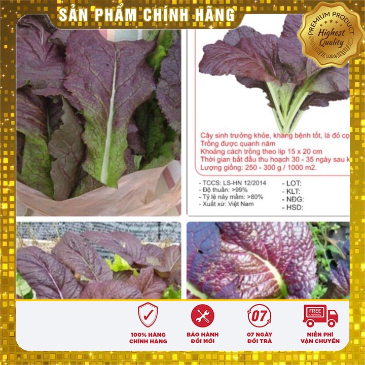 Hạt giống rau cải canh lá đỏ LUCKY SEEDS