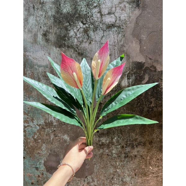 Cây Lan ý giả dài 50 cm chất liệu cao su giống thật 99%