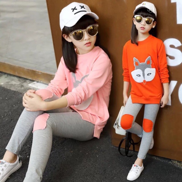 Set bộ cáo