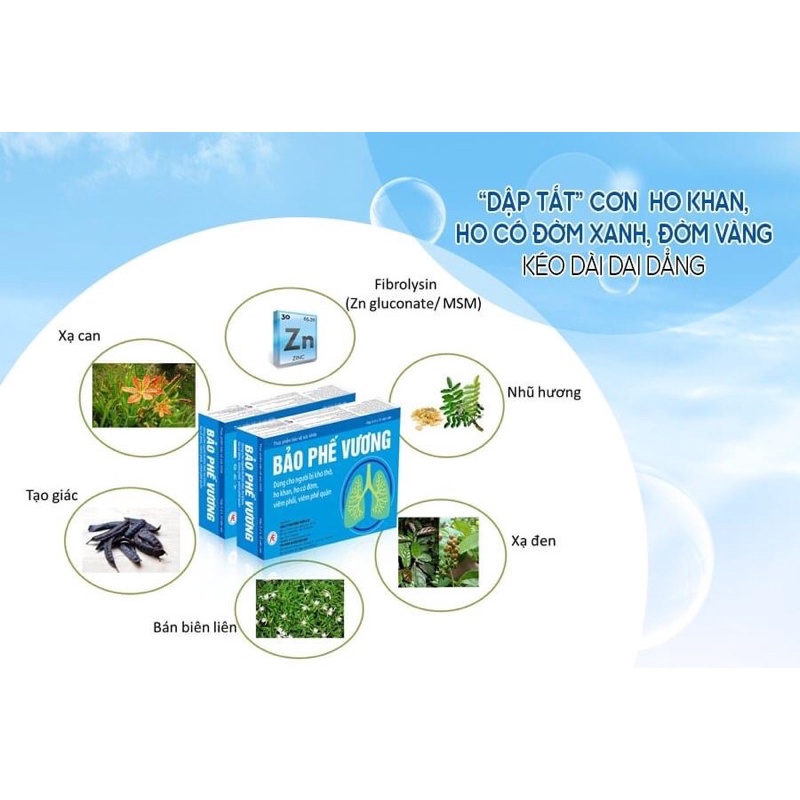 BẢO PHẾ VƯƠNG – DÙNG CHO NGƯỜI KHÓ THỞ – HO KHAN – HO CÓ ĐỜM – VIÊM PHỔI – VIÊM PHẾ QUẢN